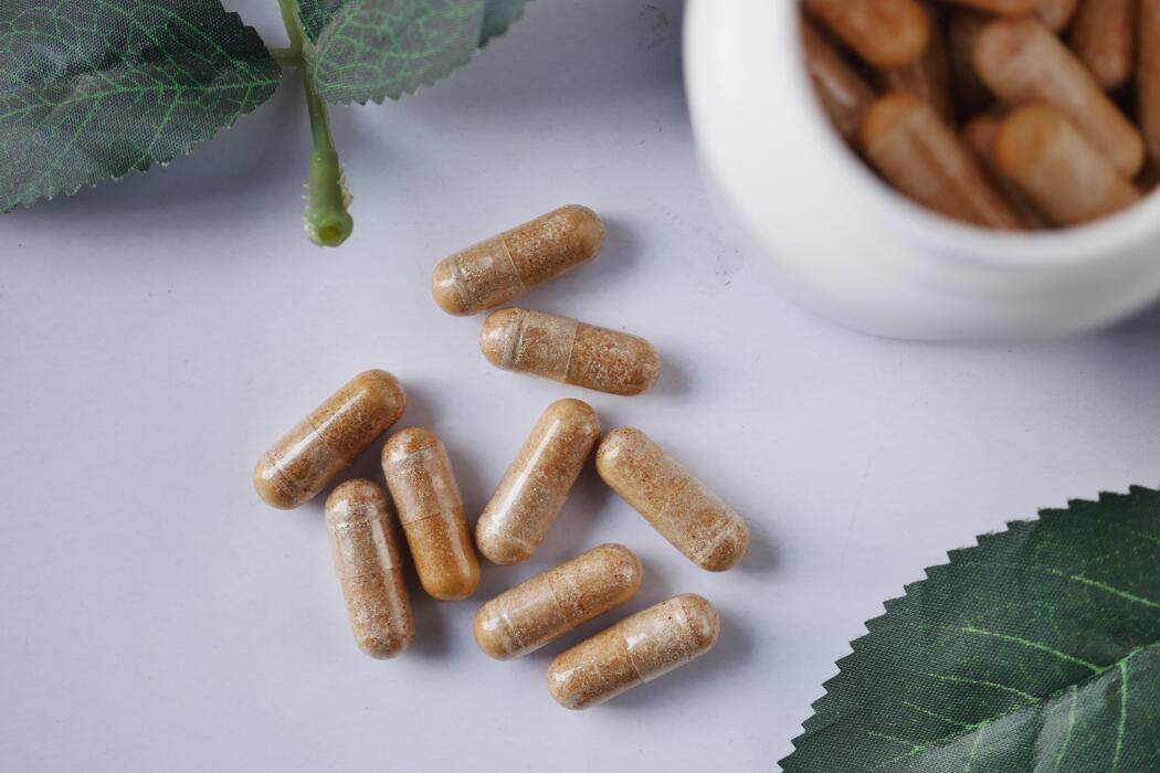 Our Offered Services