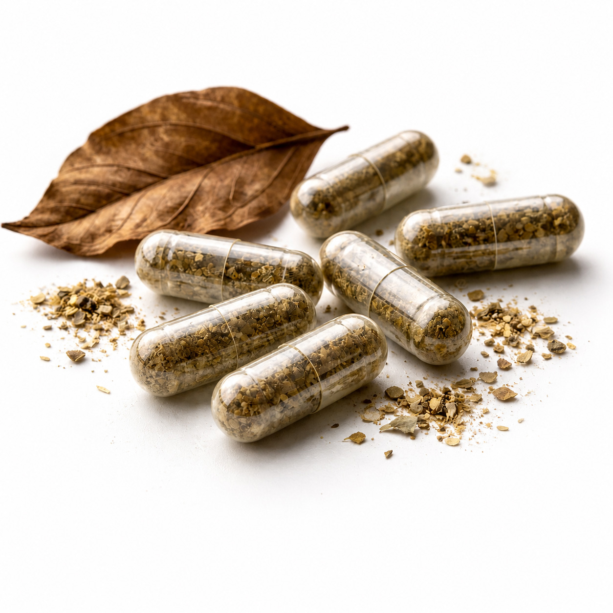 Trusted Herbal Capsule Manufacturers in India